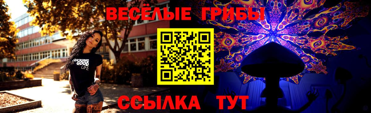Псилоцибиновые грибы Cubensis Серпухов